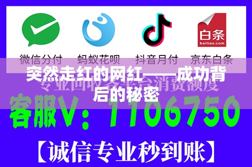 突然走红的网红——成功背后的秘密