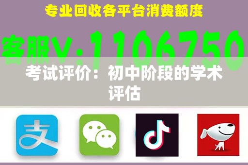 考试评价：初中阶段的学术评估