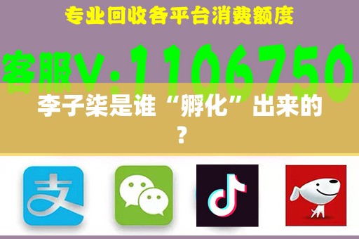 李子柒是谁“孵化”出来的？