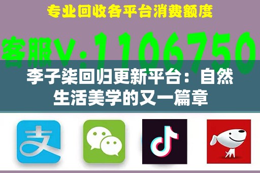 李子柒回归更新平台：自然生活美学的又一篇章