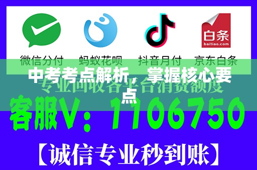 中考考点解析，掌握核心要点