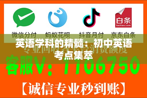 英语学科的精髓：初中英语考点集萃