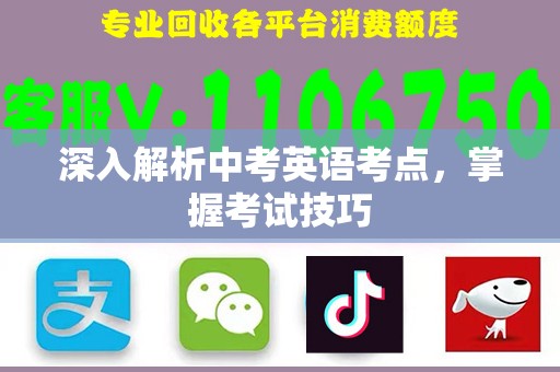 深入解析中考英语考点，掌握考试技巧
