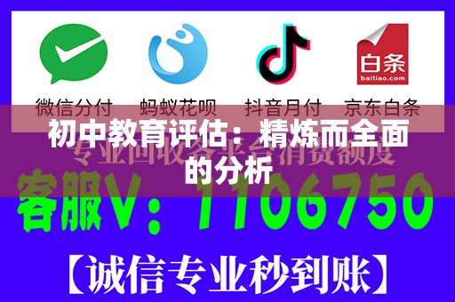 初中教育评估：精炼而全面的分析