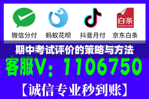 期中考试评价的策略与方法