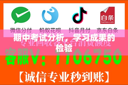 期中考试分析，学习成果的检验