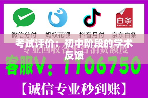 考试评价：初中阶段的学术反馈