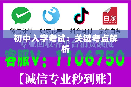初中入学考试：关键考点解析