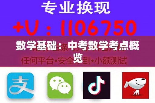 数学基础：中考数学考点概览