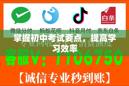 掌握初中考试要点，提高学习效率