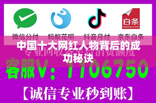 中国十大网红人物背后的成功秘诀