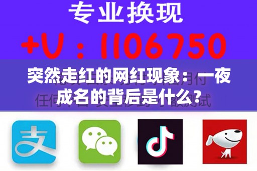 突然走红的网红现象：一夜成名的背后是什么？