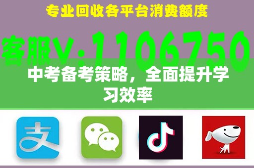中考备考策略，全面提升学习效率