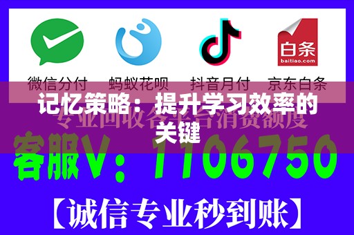 记忆策略：提升学习效率的关键