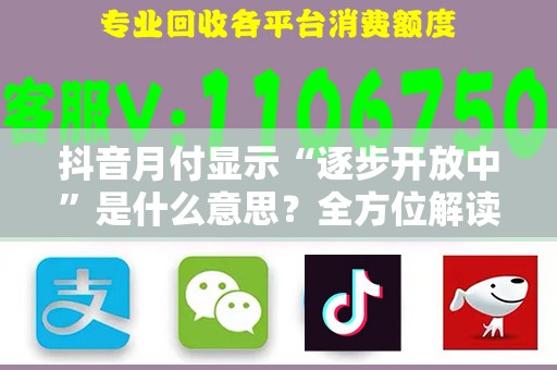 抖音月付显示“逐步开放中”是什么意思？全方位解读！