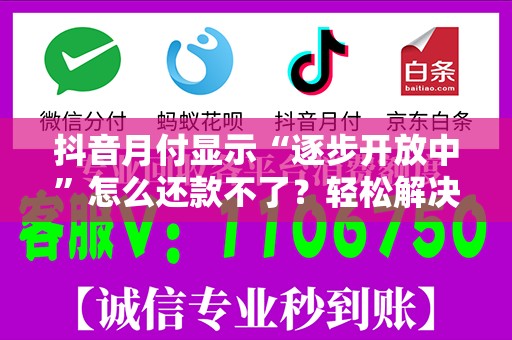 抖音月付显示“逐步开放中”怎么还款不了？轻松解决方案看这里！