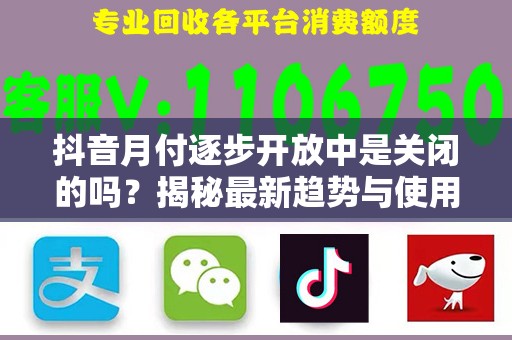 抖音月付逐步开放中是关闭的吗？揭秘最新趋势与使用指南
