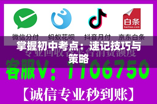 掌握初中考点：速记技巧与策略