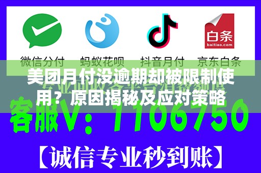 美团月付没逾期却被限制使用？原因揭秘及应对策略