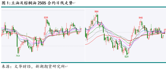 油脂4月月报：多因素博弈 趋势行情暂难有