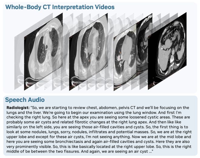 开源即爆火!英伟达重磅推出OmniVinci全模态大模型