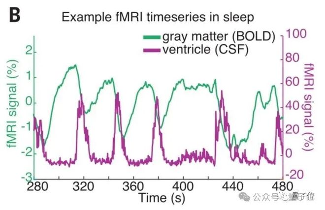 熬夜后走神不是你的错,而是自救机制在“洗脑” | Nature