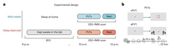 熬夜后走神不是你的错,而是自救机制在“洗脑” | Nature