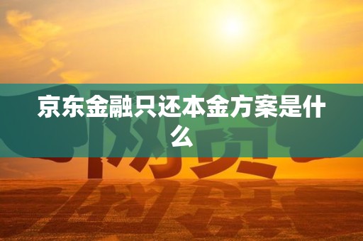 京东金融只还本金方案是什么