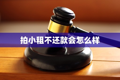 拍小租不还款会怎么样