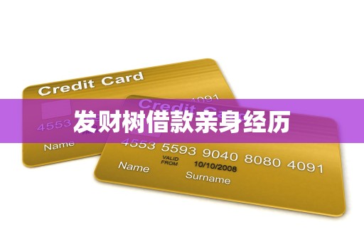 发财树借款亲身经历