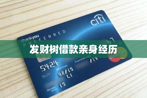 发财树借款亲身经历