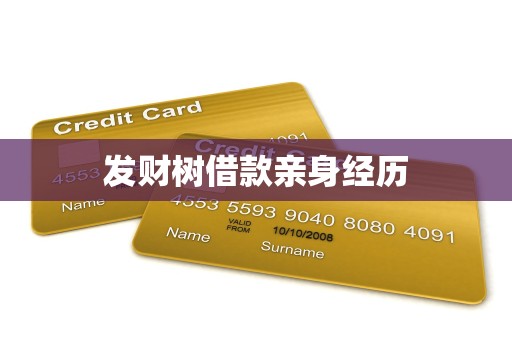发财树借款亲身经历