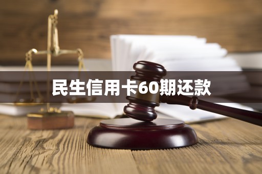 民生信用卡60期还款