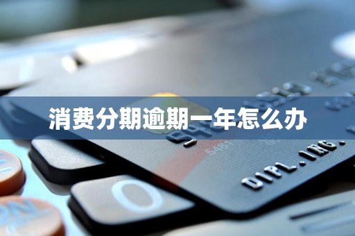 消费分期逾期一年怎么办