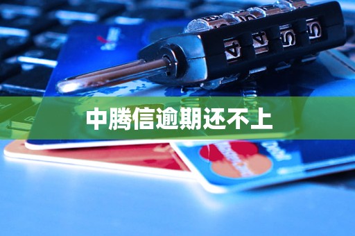 中腾信逾期还不上
