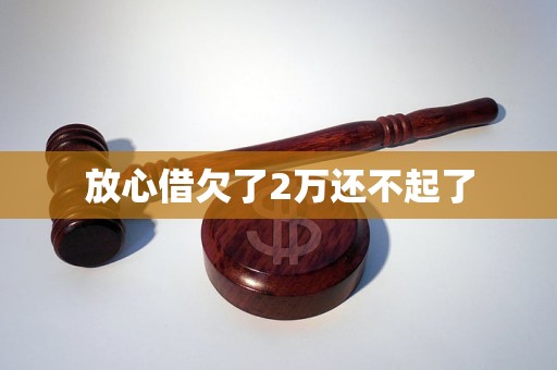 放心借欠了2万还不起了