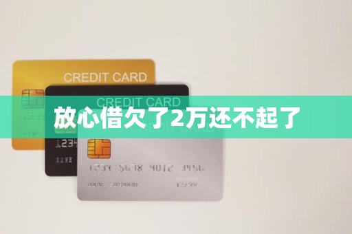 放心借欠了2万还不起了