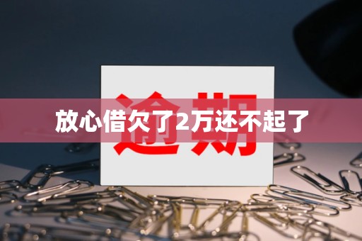 放心借欠了2万还不起了