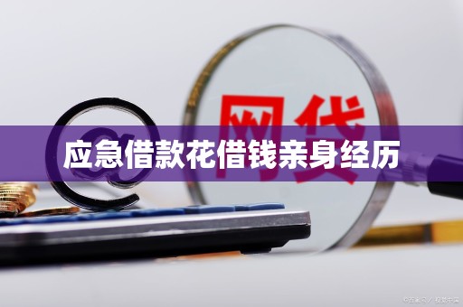 应急借款花借钱亲身经历