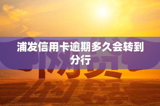 浦发信用卡逾期多久会转到分行