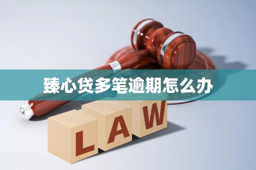 臻心贷多笔逾期怎么办