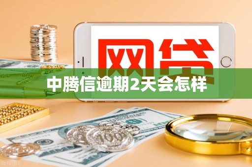 中腾信逾期2天会怎样