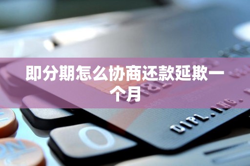 即分期怎么协商还款延欺一个月