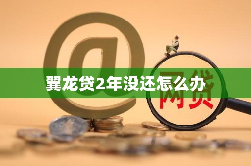 翼龙贷2年没还怎么办