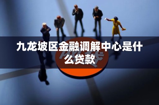 九龙坡区金融调解中心是什么贷款