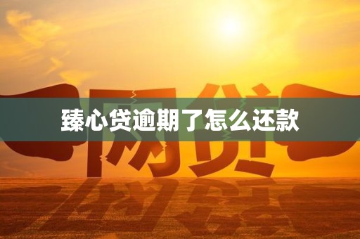 臻心贷逾期了怎么还款