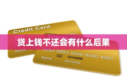 贷上钱不还会有什么后果