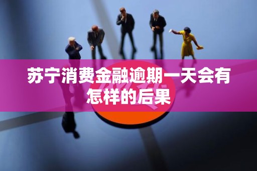 苏宁消费金融逾期一天会有怎样的后果