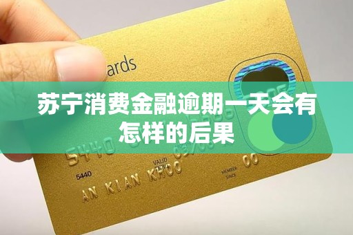 苏宁消费金融逾期一天会有怎样的后果