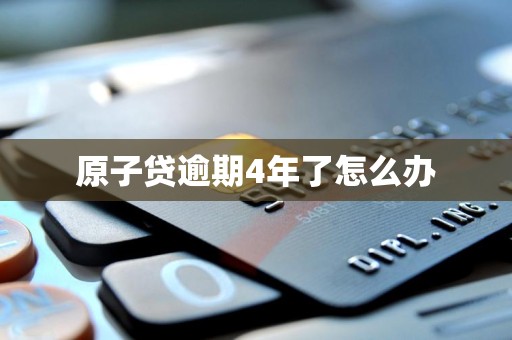 原子贷逾期4年了怎么办